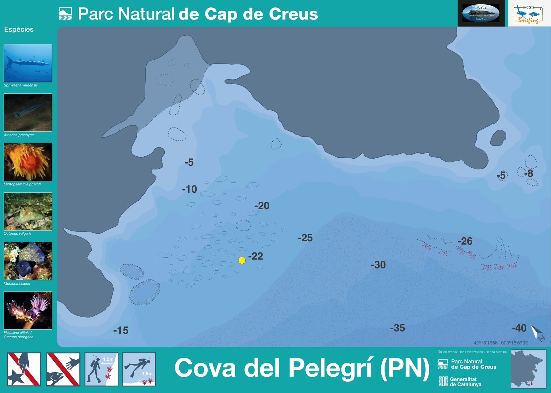 Cova del Pelegri
