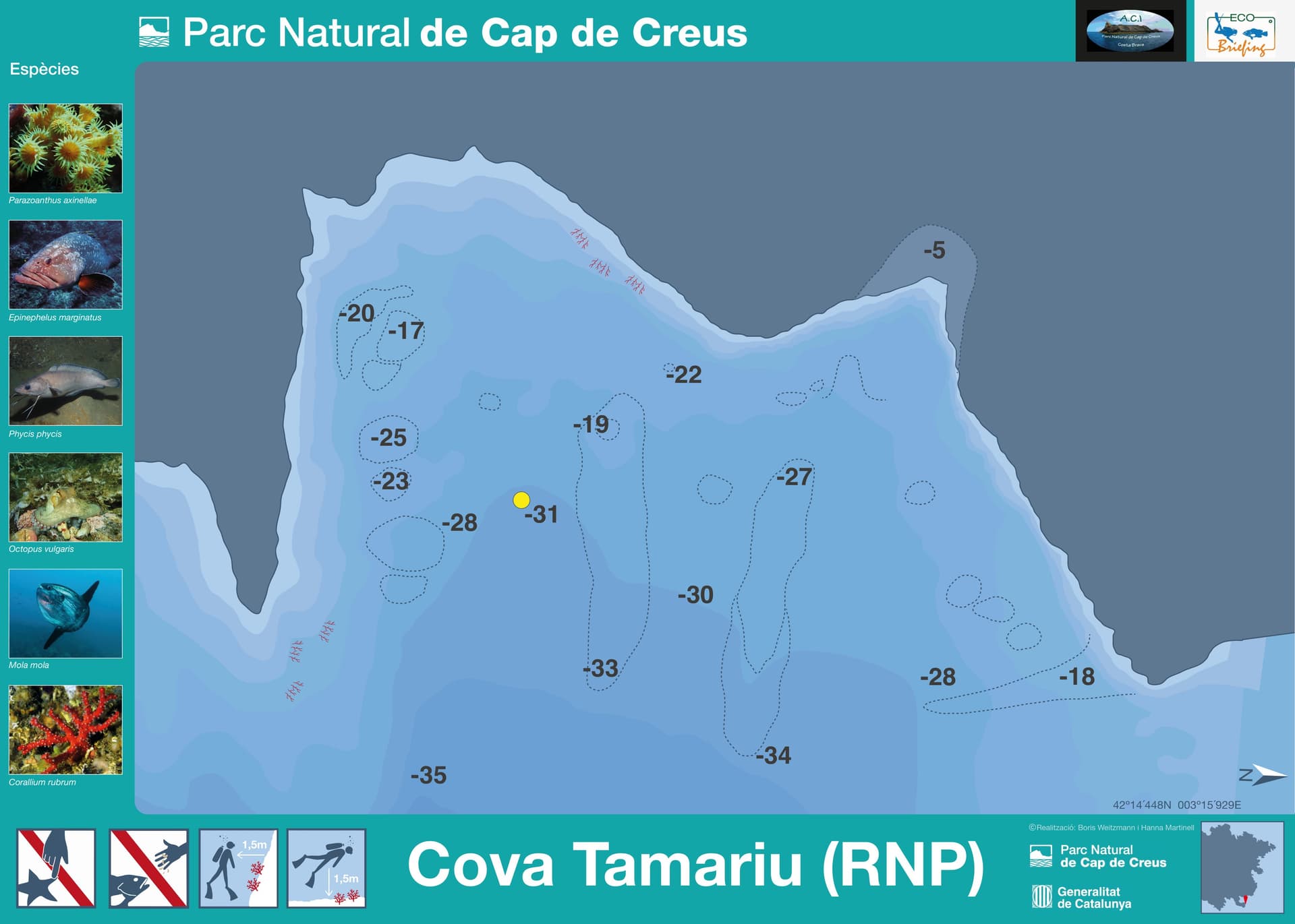 Cova Tamariu