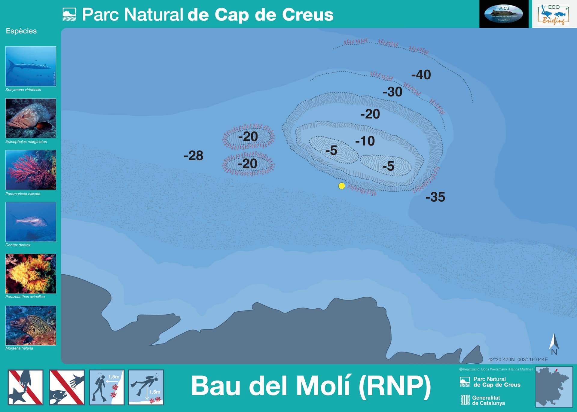 El Bau del Molí
