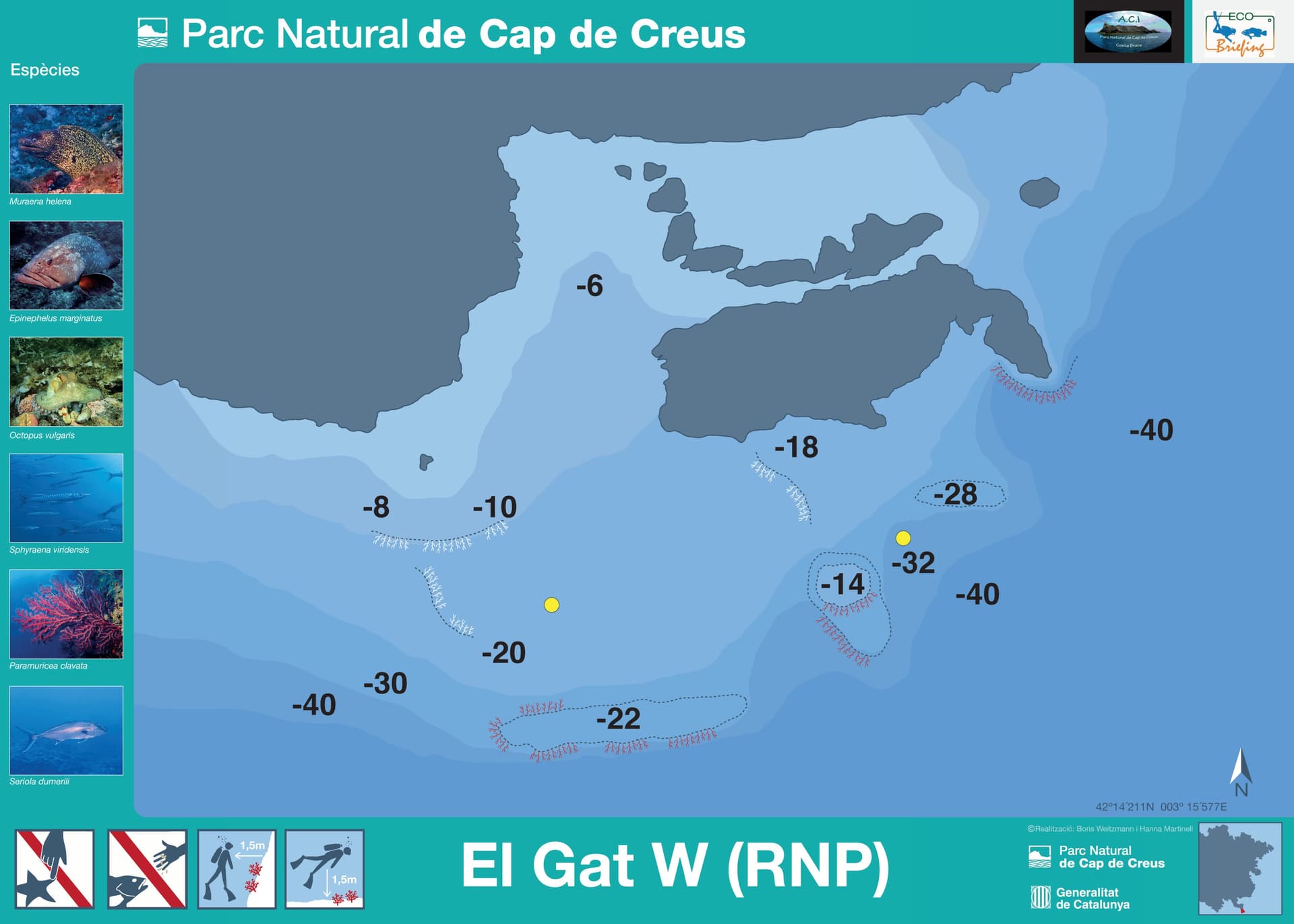 El Gat