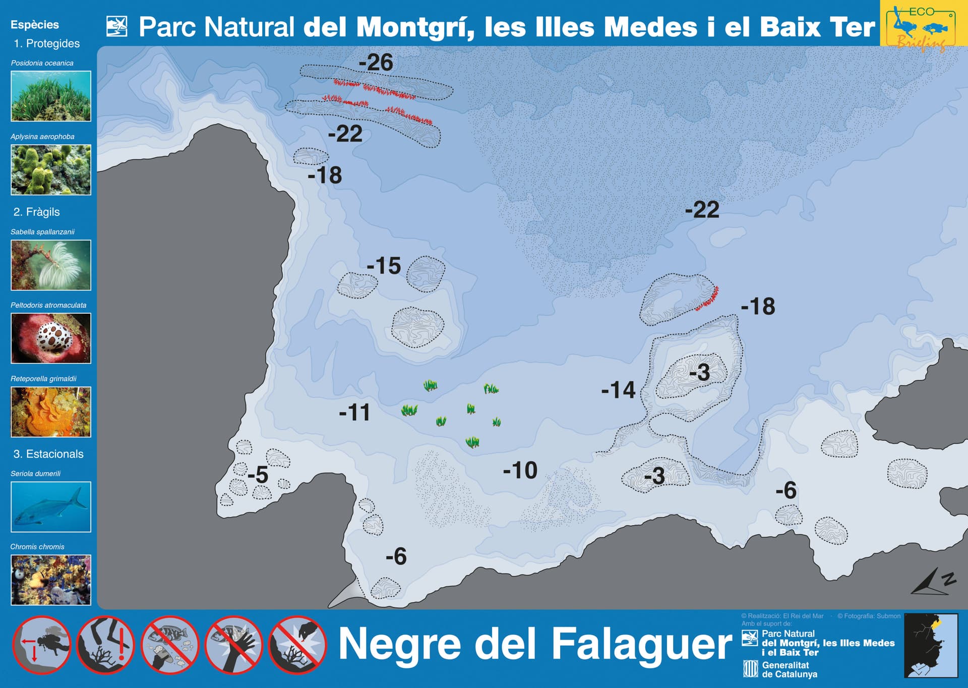 Negre del Falaguer