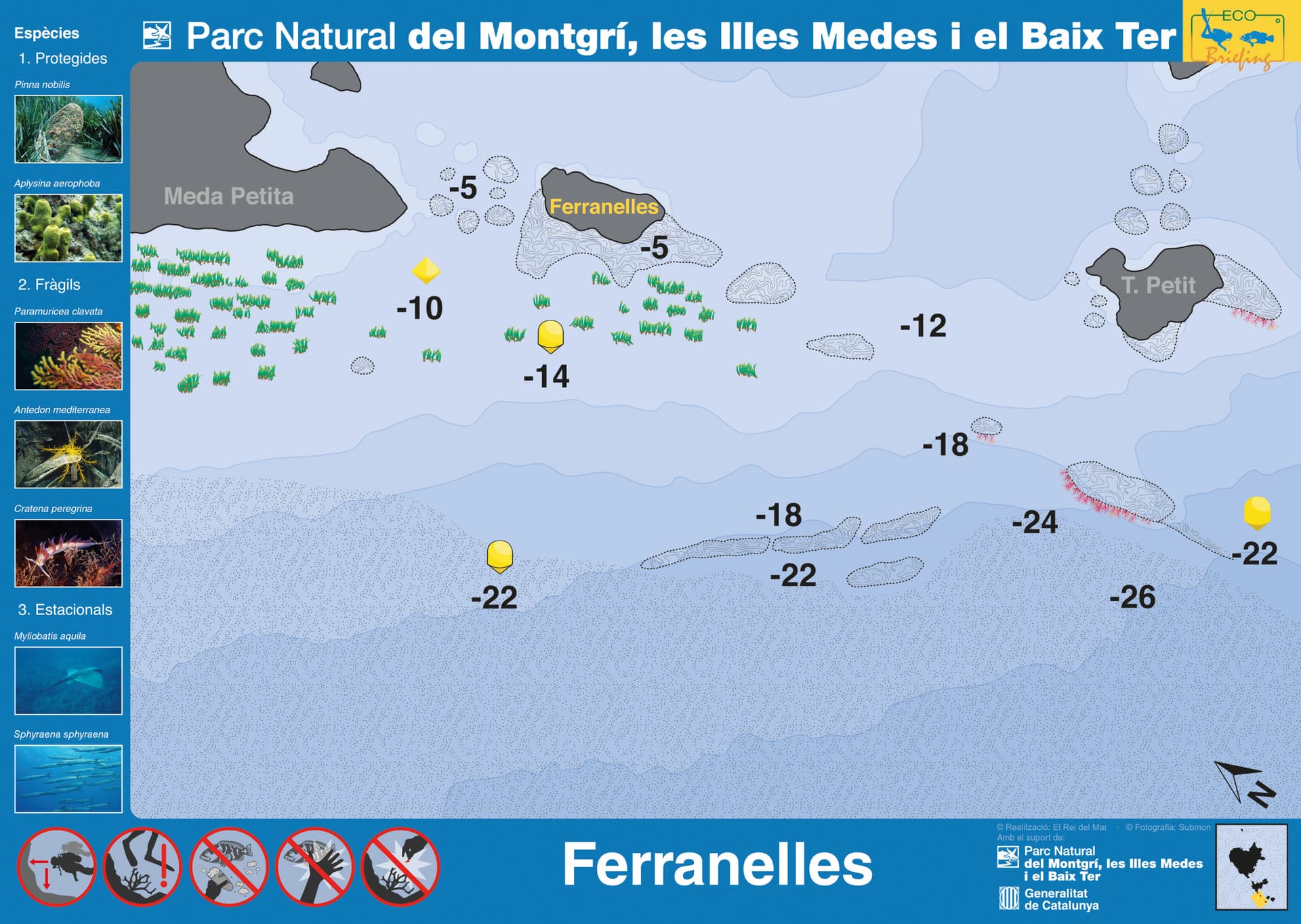 Ferranelles