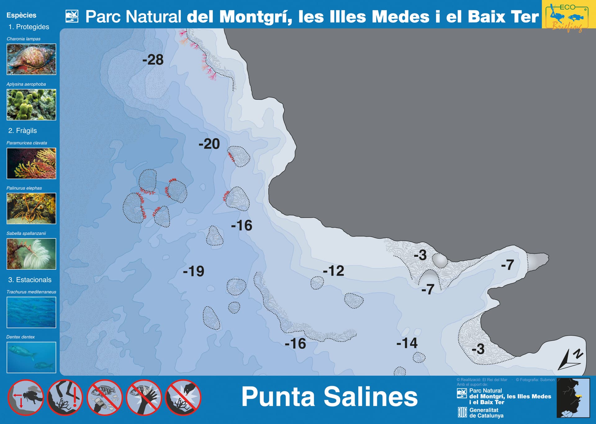 Punta Salines