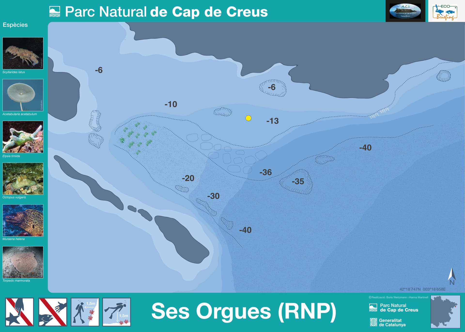 Ses Orgues