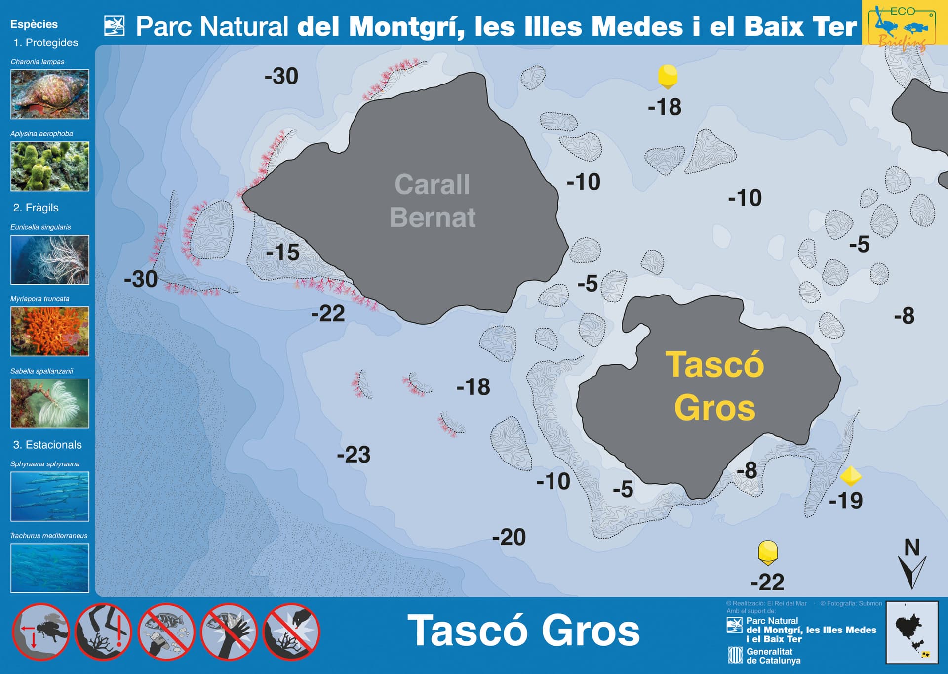 Tascó Gros
