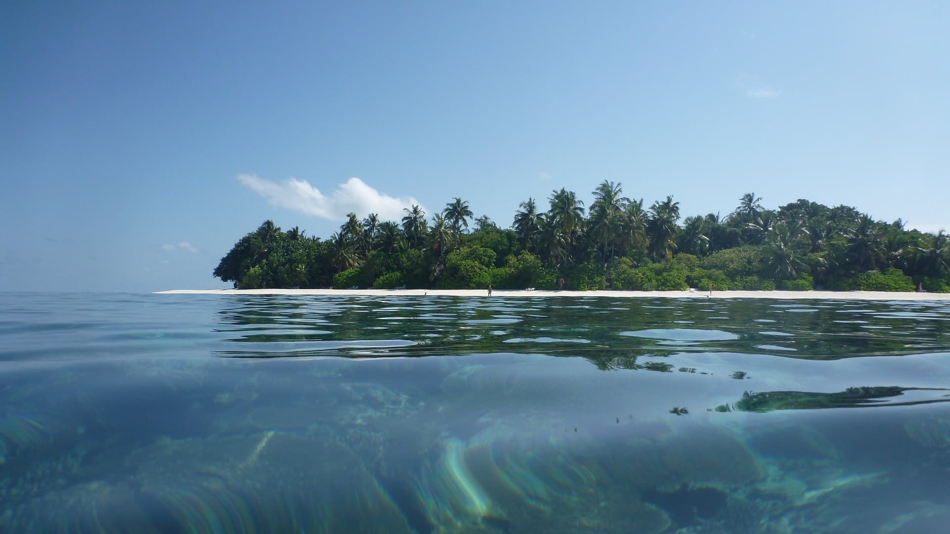 Alifu Alifu Atoll