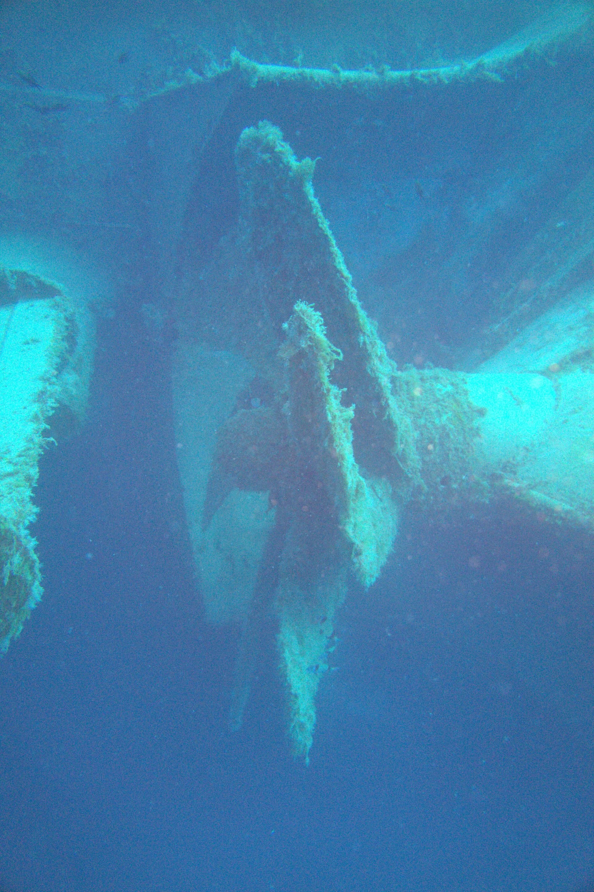 Don Pedro Wreck