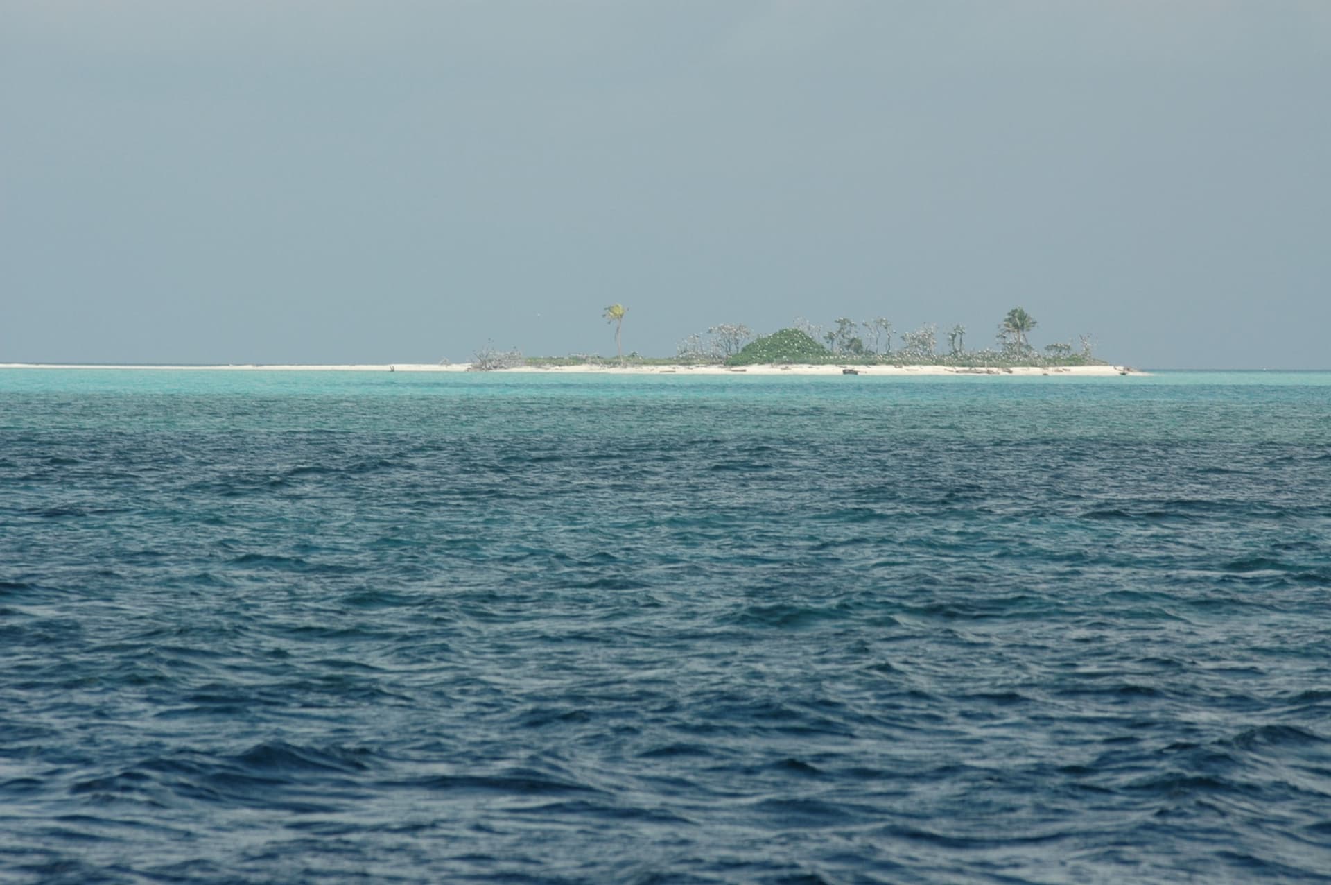 Tubbataha Reefs