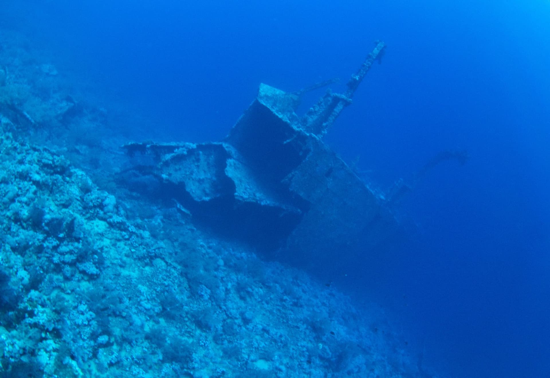 Aida