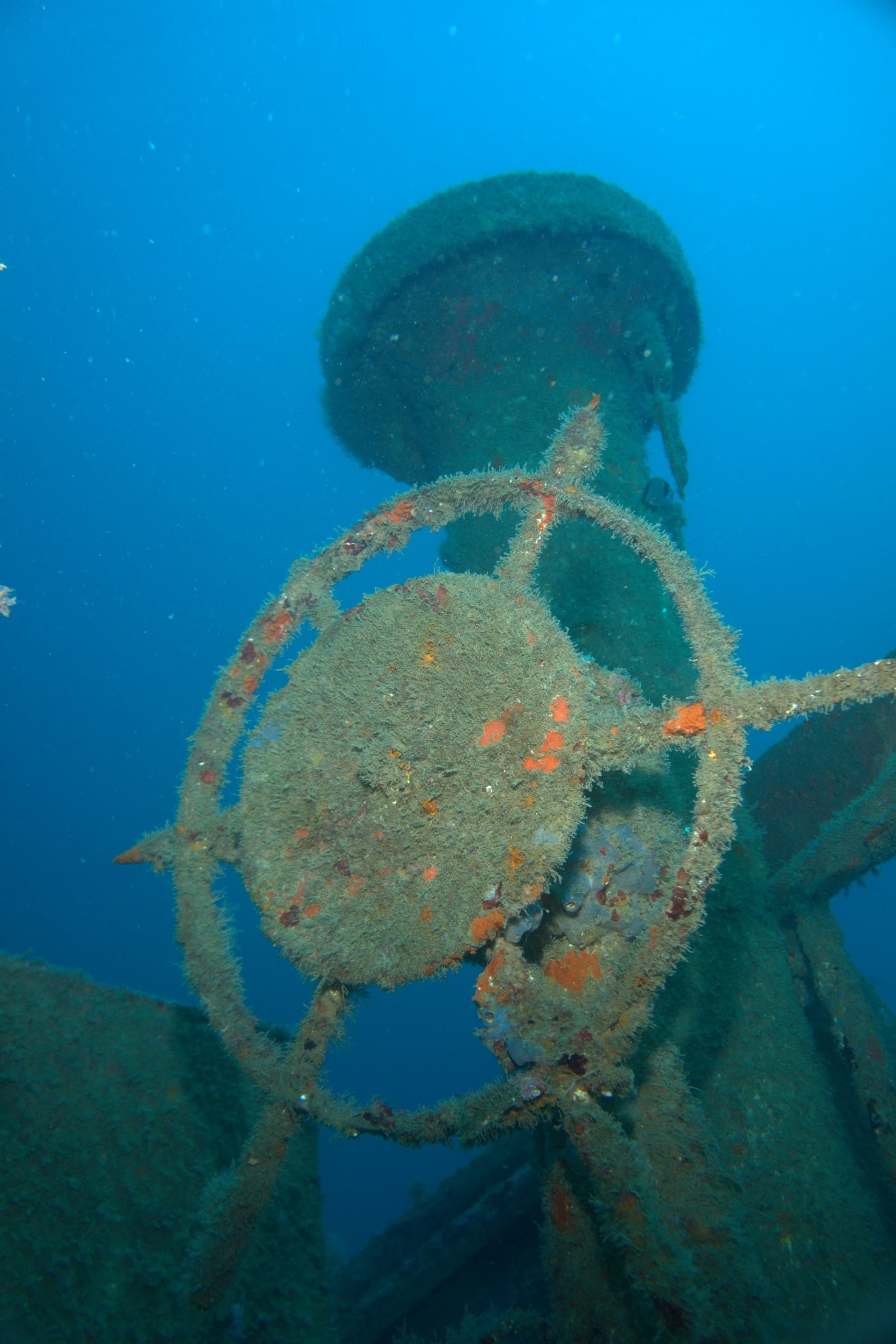 El Boreas wreck