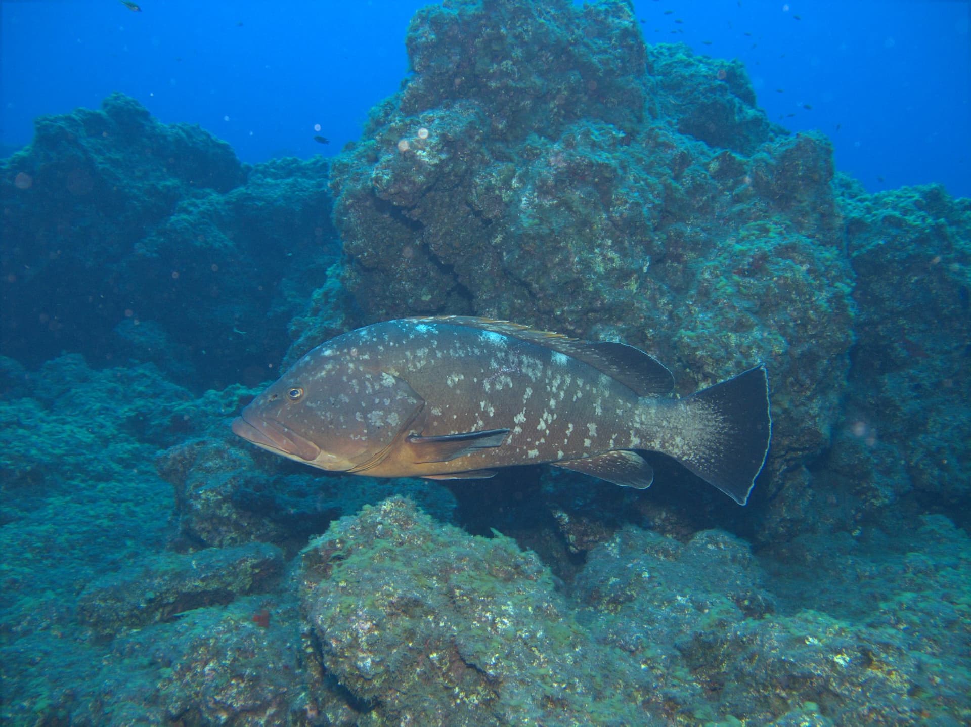 El Hierro
