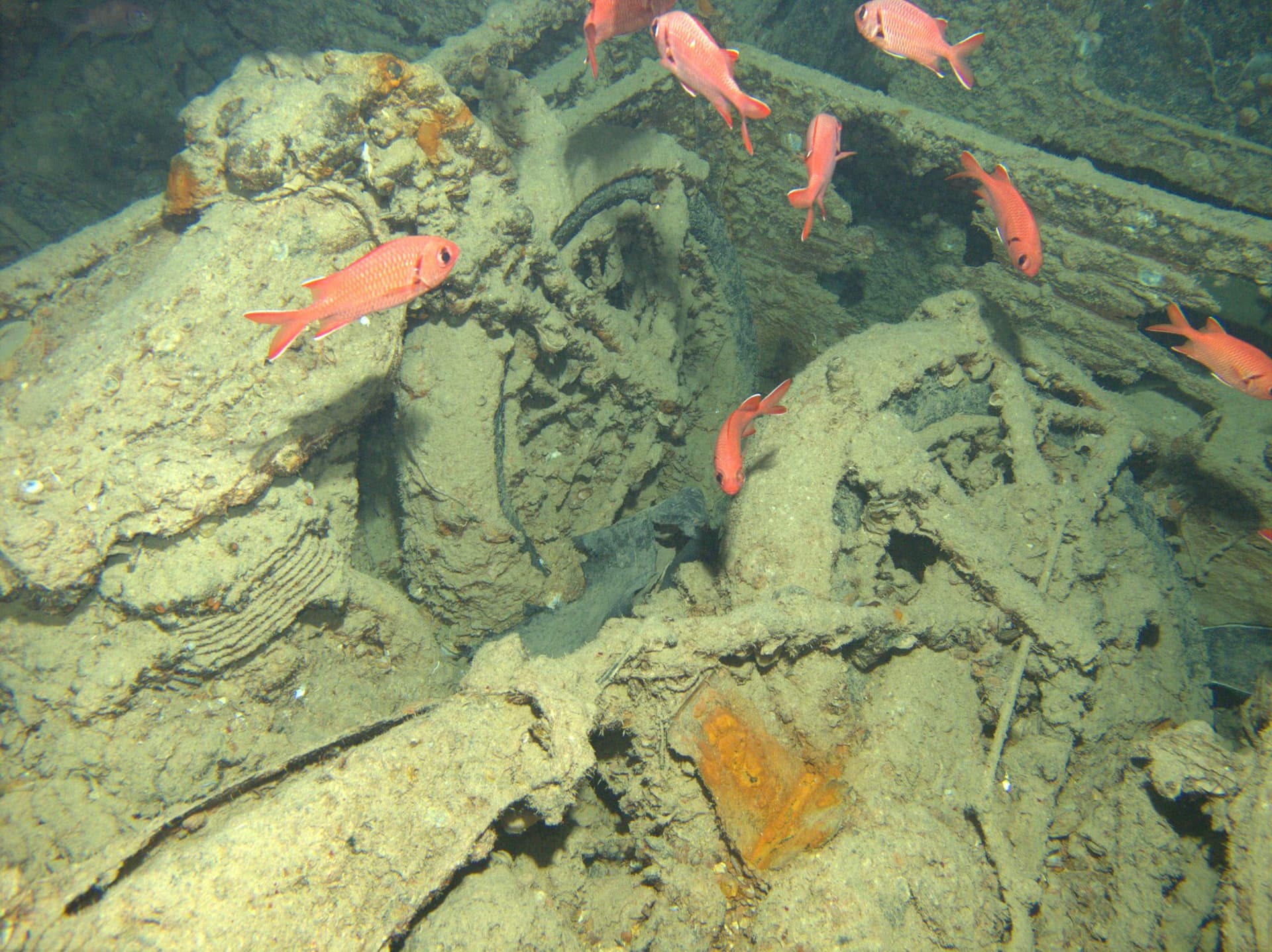 S.S. Thistlegorm