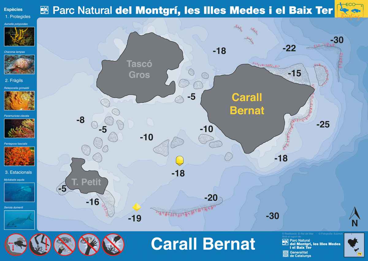 Ficha del punto de buceo — Carall Bernat