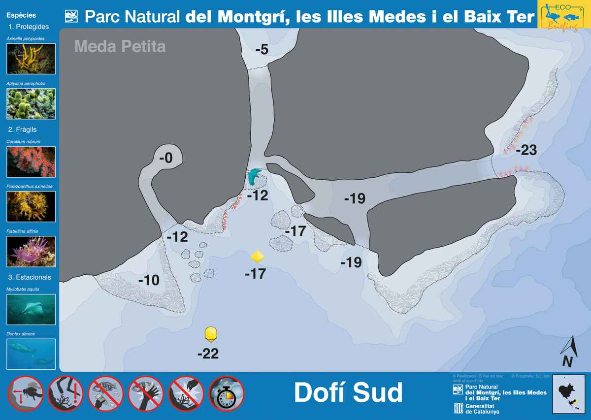 Ficha del punto de buceo — Dofí Sud