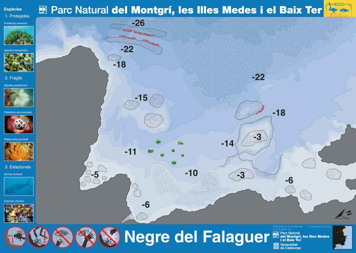Ficha del punto de buceo — Negre del Falaguer