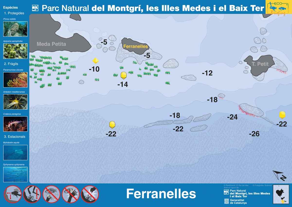 Ficha del punto de buceo — Ferranelles