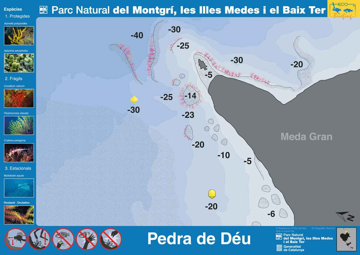 Ficha del punto de buceo — Pedra de Déu