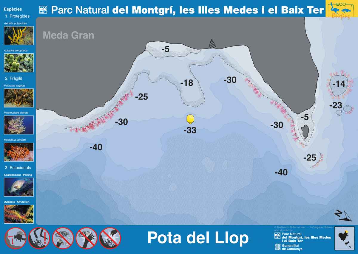 Ficha del punto de buceo — Pota del Llop