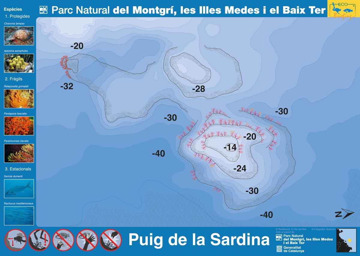 Ficha del punto de buceo — Puig de la sardina