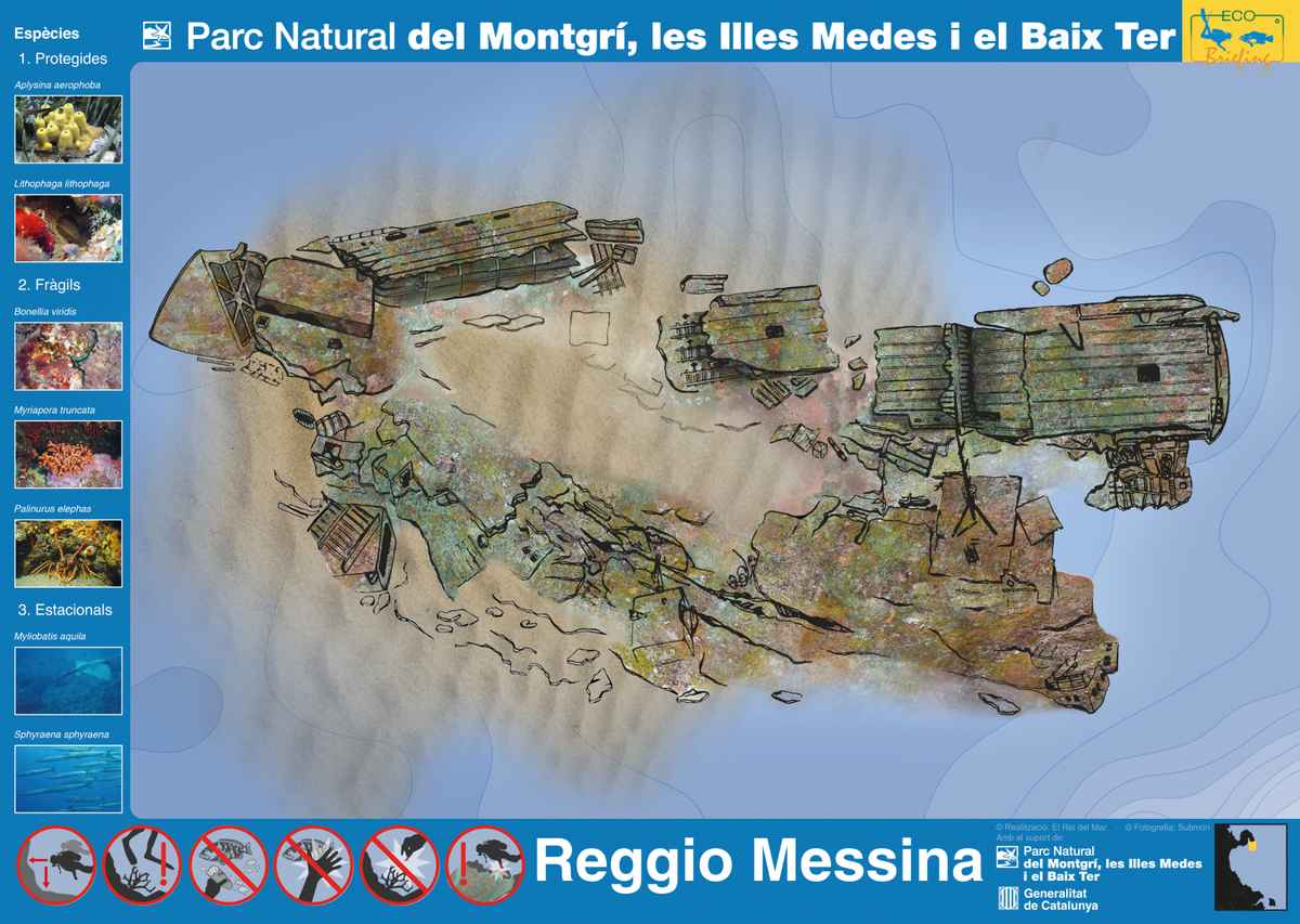 Dive site brief — Reggio Messina