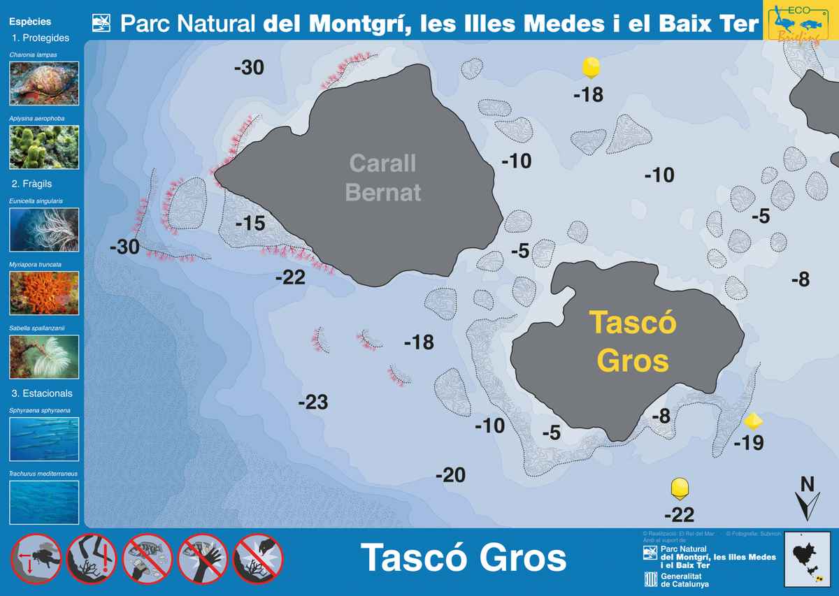 Ficha del punto de buceo — Tascó Gros