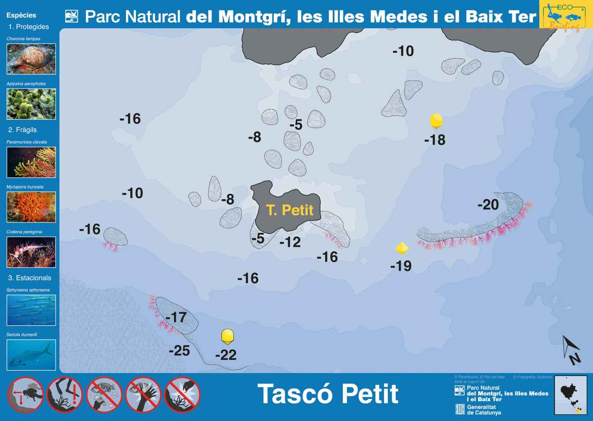 Ficha del punto de buceo — Tascó Petit