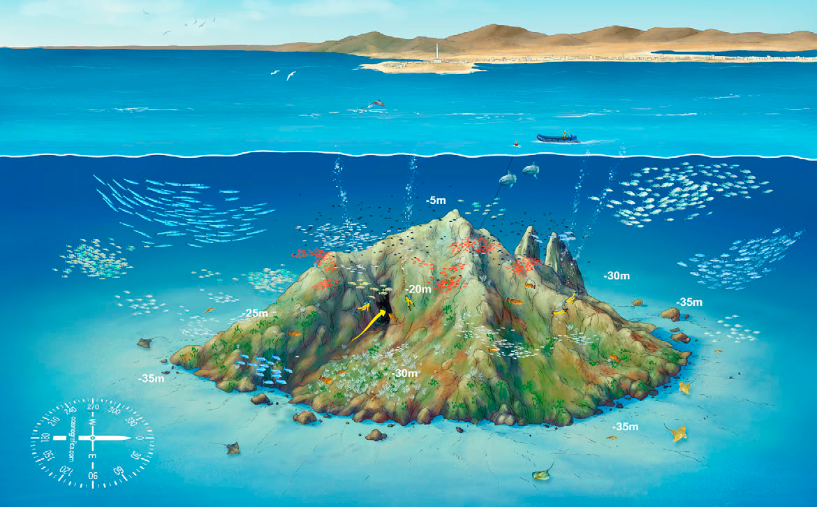 Ficha del punto de buceo — Bajo de Dentro