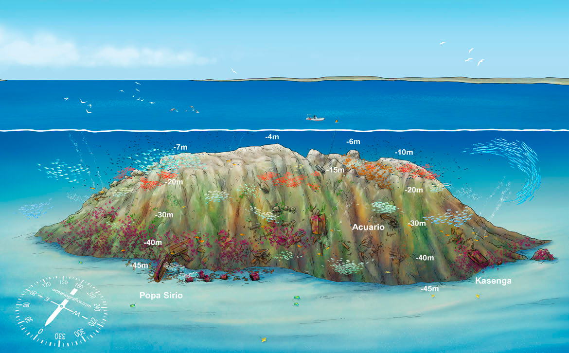 Dive site brief — Bajo de Fuera