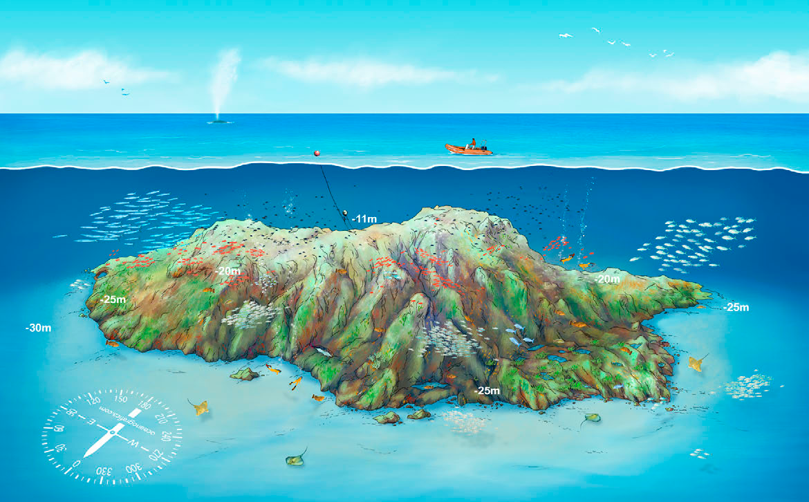 Ficha del punto de buceo — Bajo de Piles II