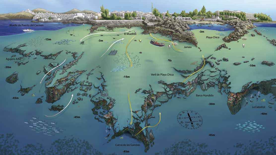 Ficha del punto de buceo — Cueva de las gambas