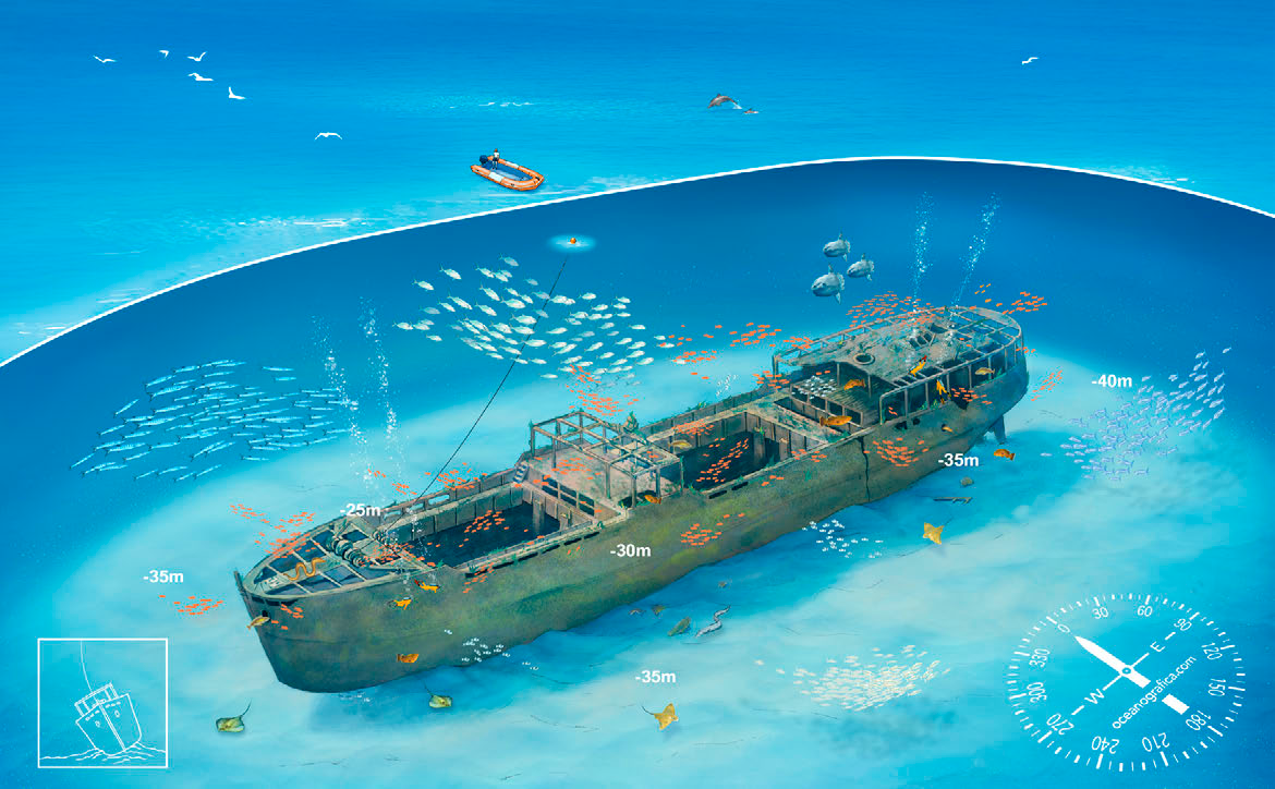 Ficha del punto de buceo — Naranjito