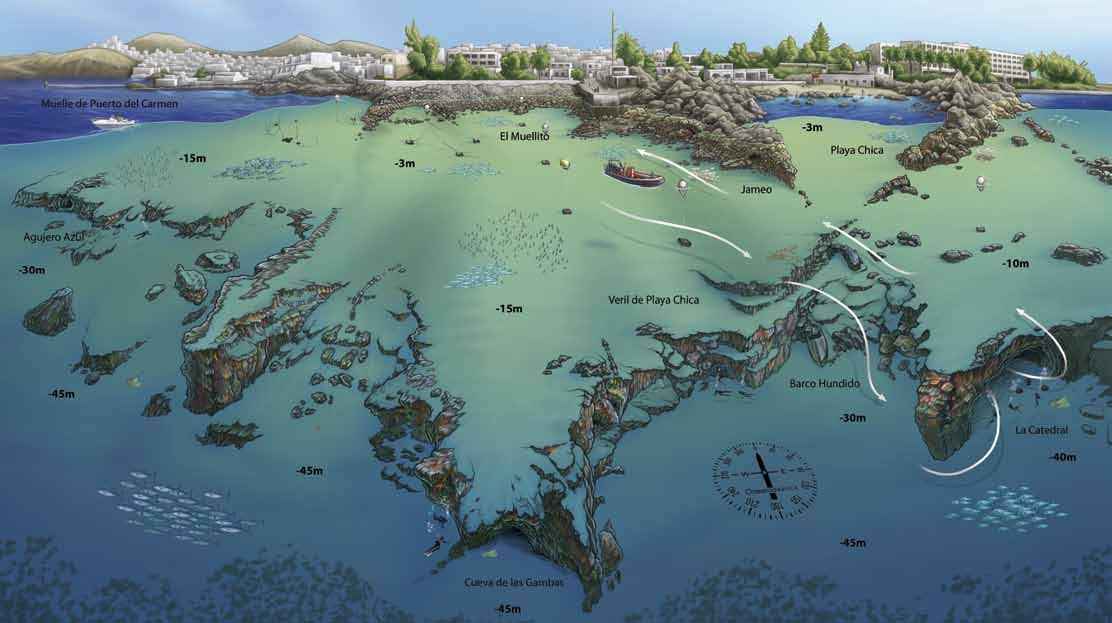 Dive site brief — Playa Chica