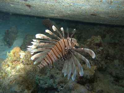 Hurghada