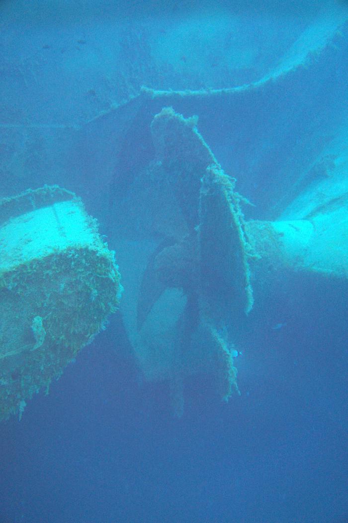 Don Pedro Wreck