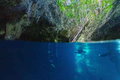 Riviera Maya Cenotes