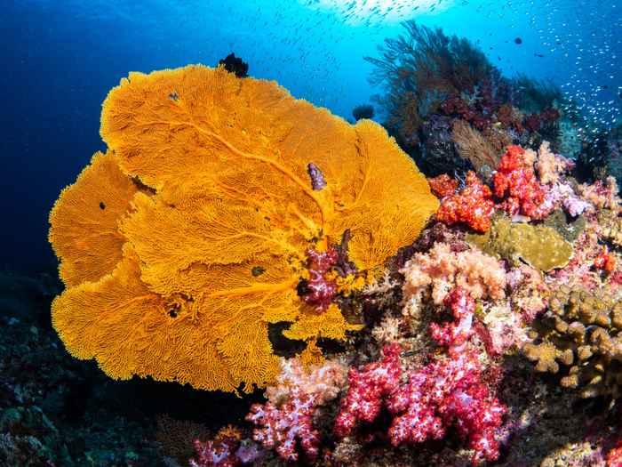 Similan Islands