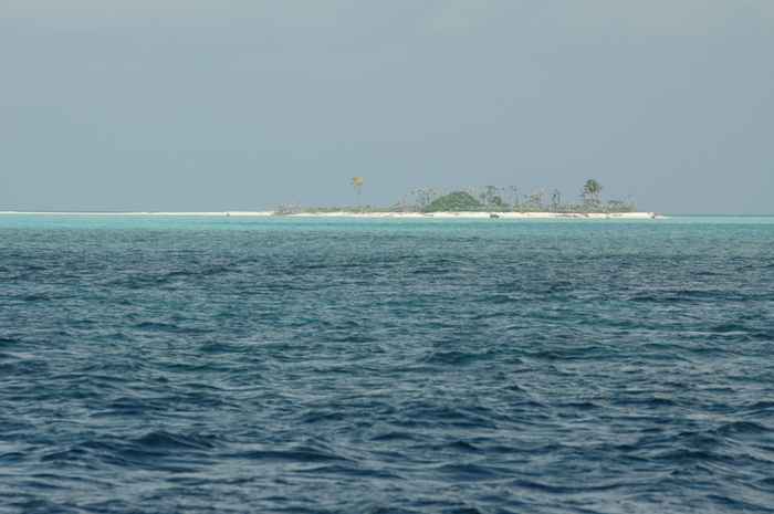 Tubbataha Reefs