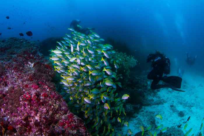 Vaavu Atoll