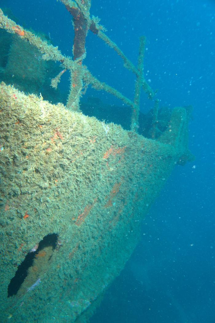 El Boreas wreck