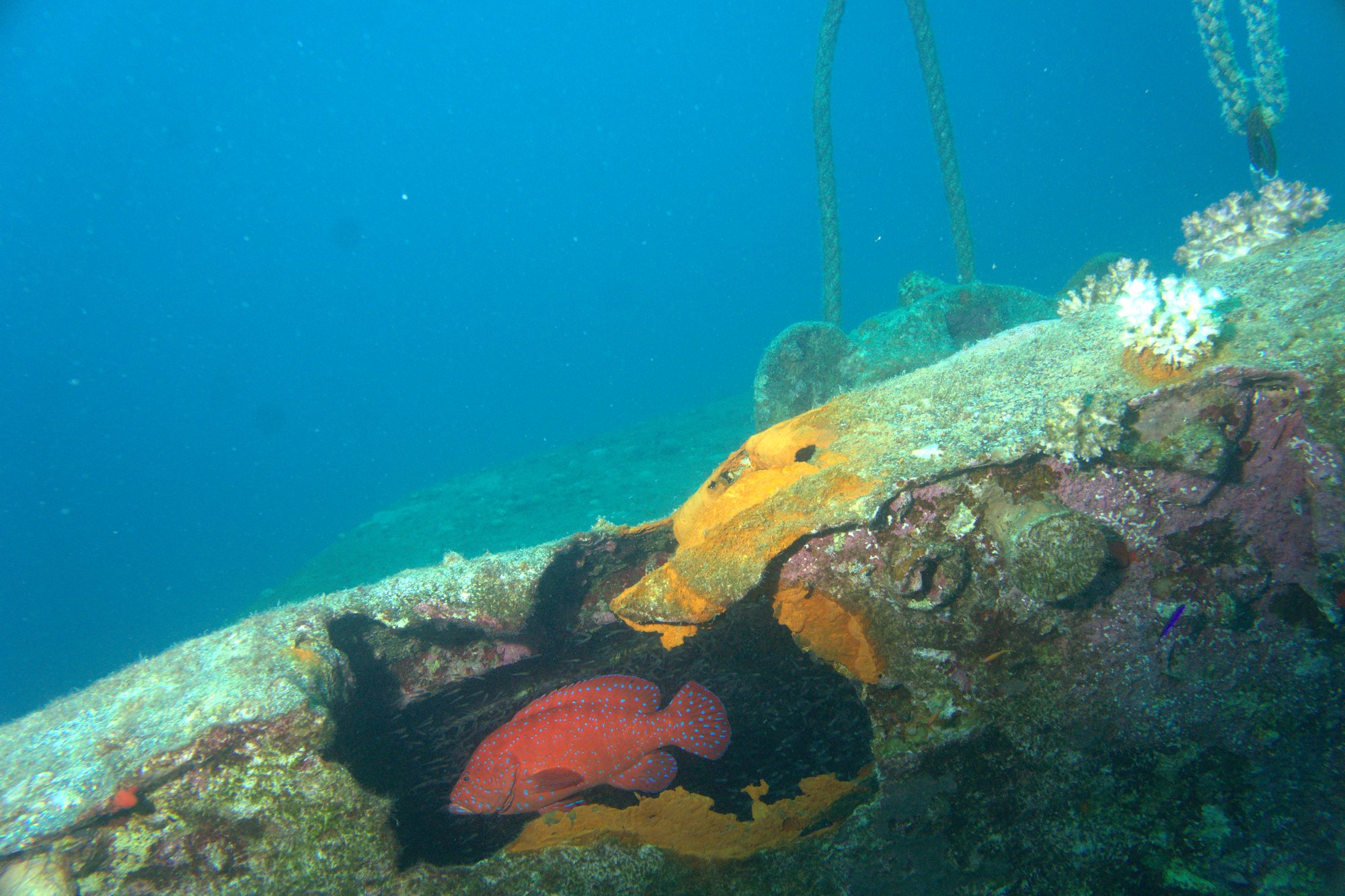 El Mina Wreck