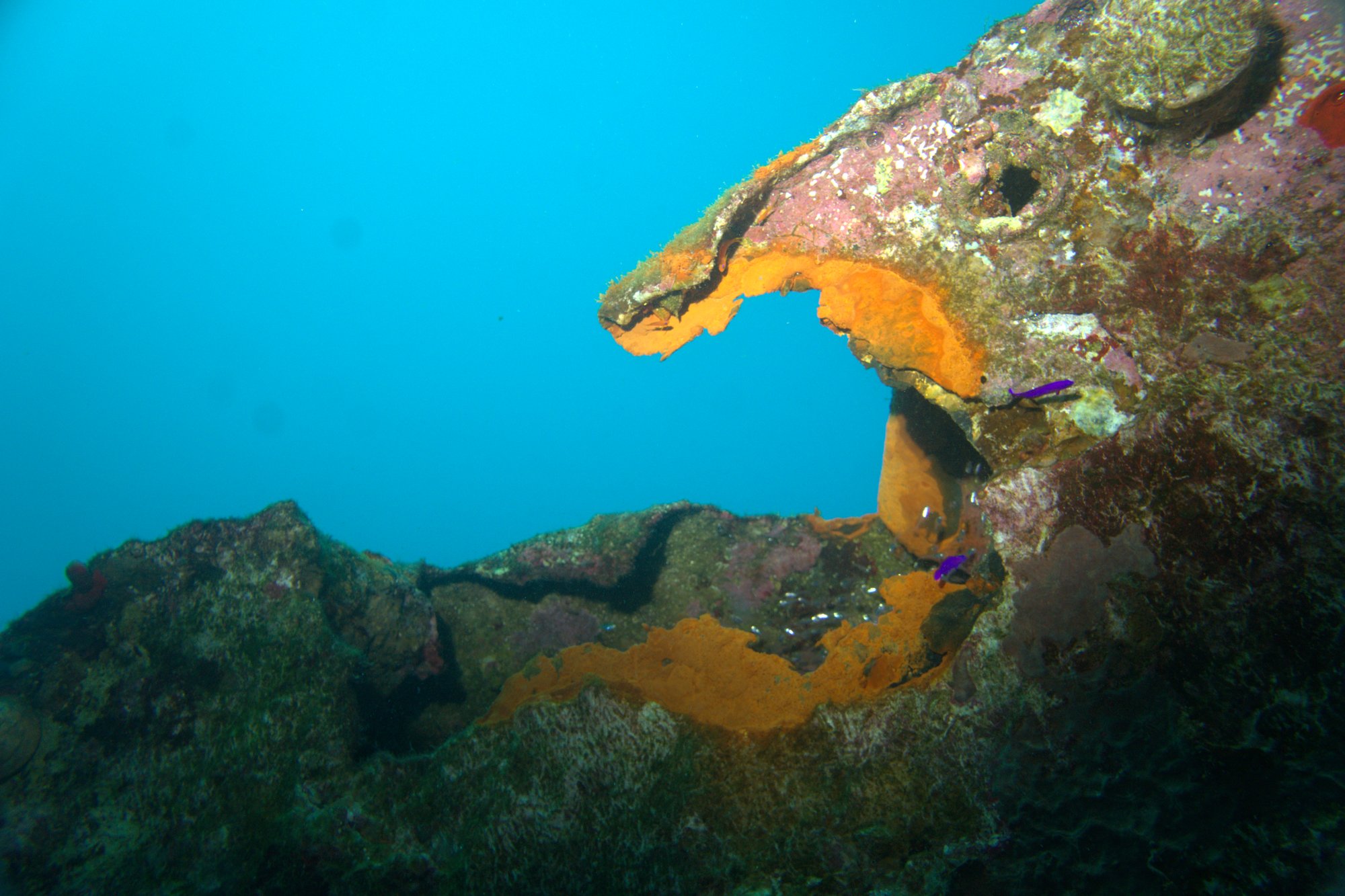 El Mina Wreck