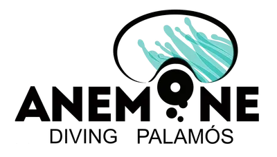Anemone Diving Center logo