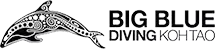 Big Blue Diving logo
