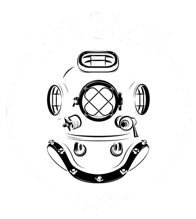 Big Blue Ibiza Diving Center logo