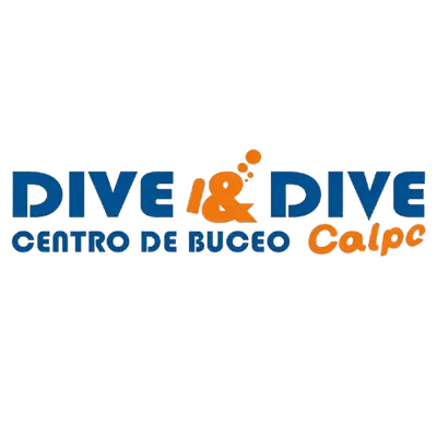 Dive & Dive logo