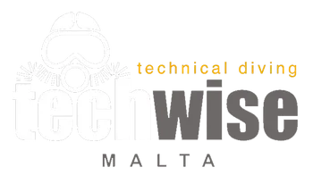 TechWise logo