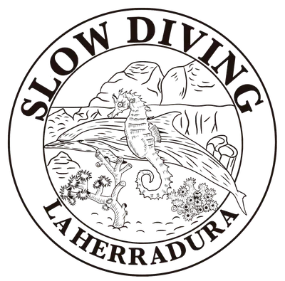 Slow Diving La Herradura logo