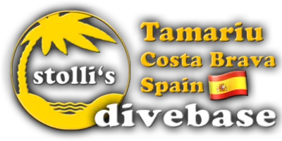 Stollis Divebase logo