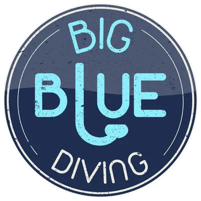 Big Blue Diving logo