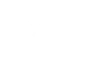 Octopus Mallorca logo